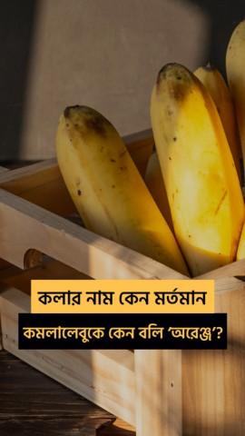 Bangla Word Trivia with RJ Roy - Fruits